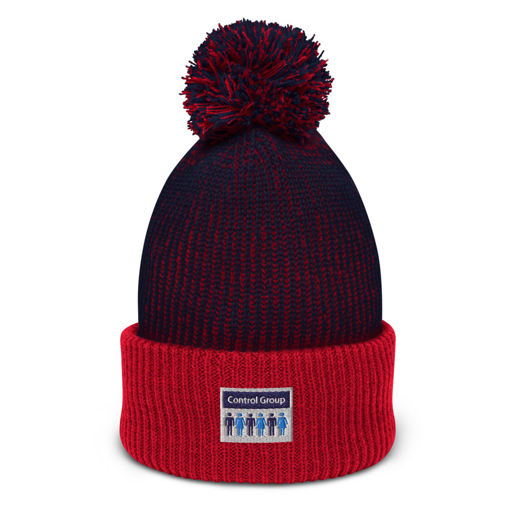 Control Group Pom-Pom Beanie